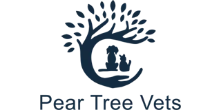 Practice partner logo