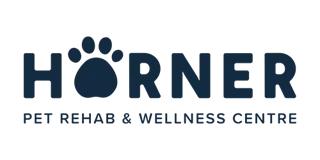 Practice partner logo