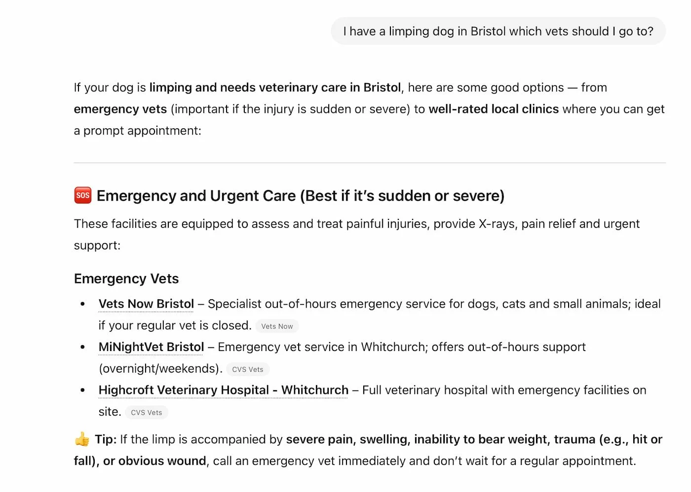 ChatGPT’s Response to “dog limping in Bristol” query