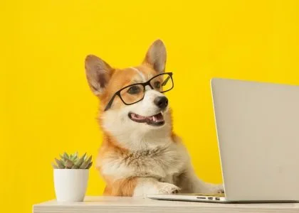 “Gary, have I ever told you how much I love A/B testing these ads to see which has the best CPA?”
