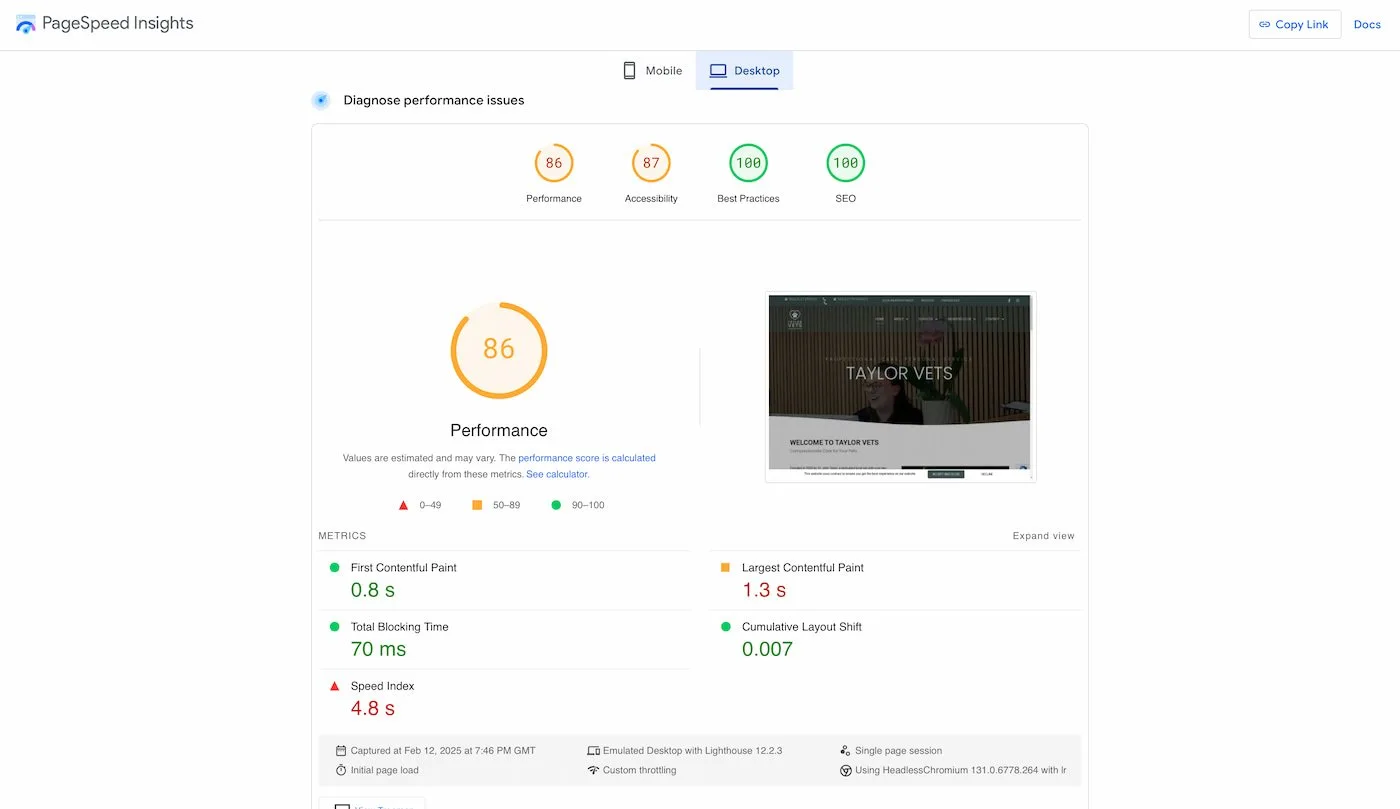 Taylor Vets Pageinsights
